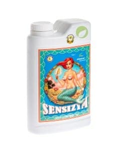 AN Sensizym