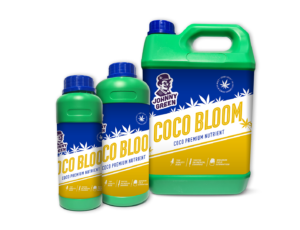 Johnny Green Coco Bloom