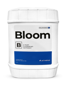 ATHENA Blended Line Bloom (B) 19L