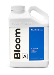 ATHENA Blended Line Bloom A 3.8L