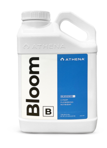 ATHENA Blended Line Bloom B 3.8L